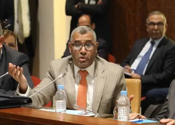 بوانو: الحكومة تفشل و الملك يتدخل مرارا ..