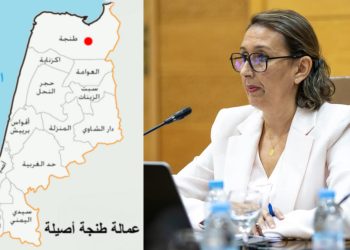 الوكالة الحضرية لطنجة تطلق طلب عروض دولي لإعداد المخطط التوجيهي للتهيئة العمرانية