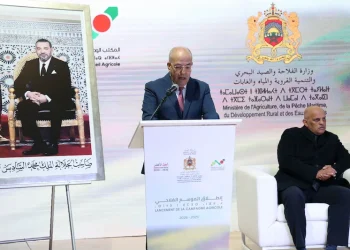 أحمد البواري يعطي الانطلاقة الرسمية للموسم الفلاحي 2025-2026 من إقليم العرائش