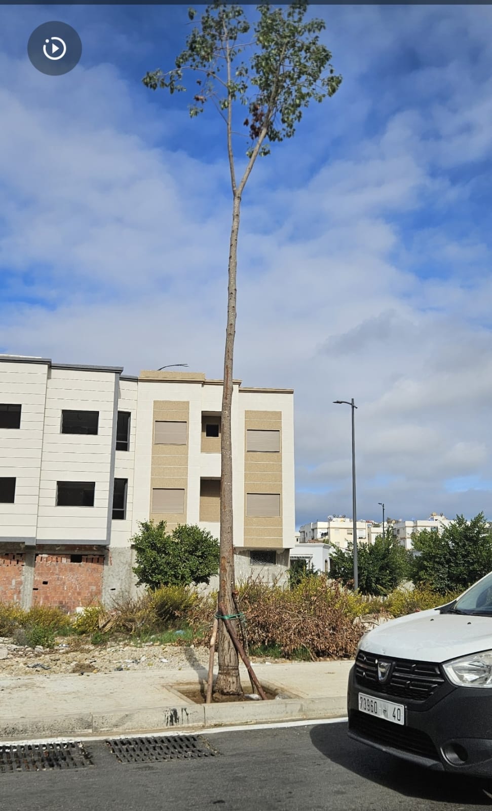 أثارت بعض الأصناف من الأشجار المغروسة جدلا وسط خبراء البيئة نظرا لعدم تطابقها مع مقومات مقاومة عوامل الطقس والظروف الجوية مثل هده الشجرة BRACHYCHITON POPULNES ARBRES التي ينبغي ان تكون قصيرة حتى يشتد عودها في مراحل نموها