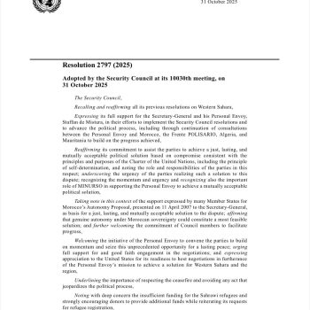 قرار مجلس الأمن 2797