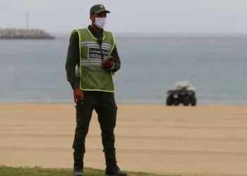 المخازنية يحبطون عملية تهريب شخنة مخدرات بالرميلات