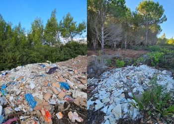 طنجة بوادر الإجهاز على غابة سانية تلوح في الأفق مُجددا