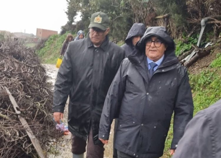 محمد خلفاوي