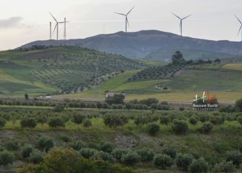 © صورة الحسين قنطيك