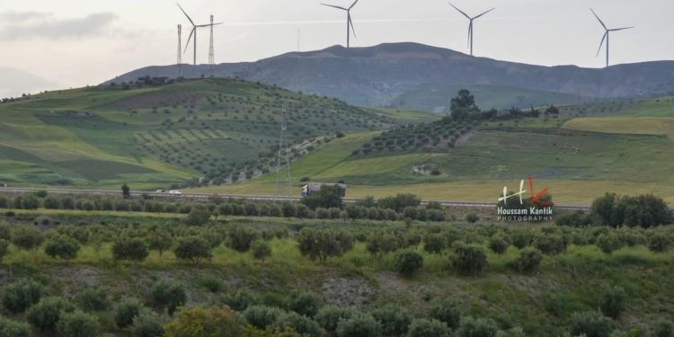 © صورة الحسين قنطيك