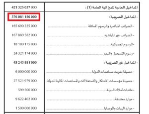 هل هل الدولة فاعل اقتصادي حقيقي؟ أرقام الميزانية تجيب