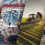 هل الدولة بالمغرب فاعل اقتصادي حقيقي؟ أرقام الميزانية تجيب