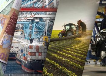 هل الدولة فاعل اقتصادي حقيقي؟ أرقام الميزانية تجيب