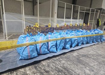 8 أطنان من الشيرا تسقط في قبضة الأمن بميناء طنجة المتوسط