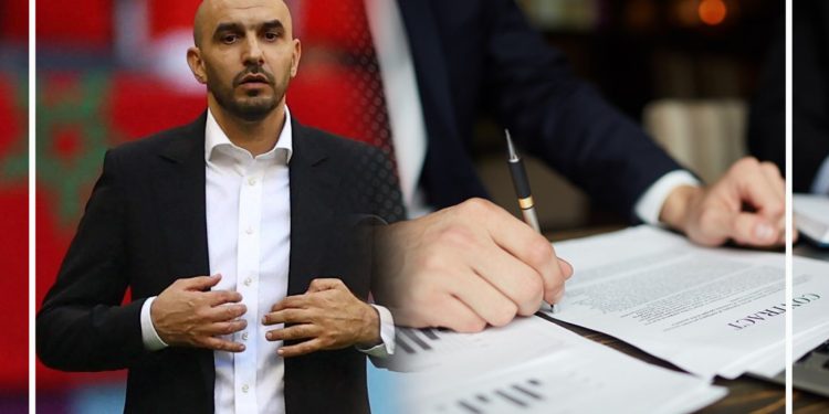 هل وليد الركراكي مدرب رياضي أم “باطرون” اقتصادي؟