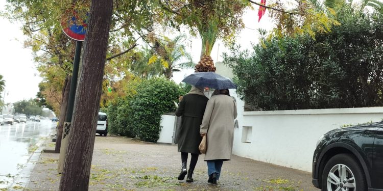 نشرة الطقس اليوم الاثنين.. وتعليق الدراسة (وثيقة)