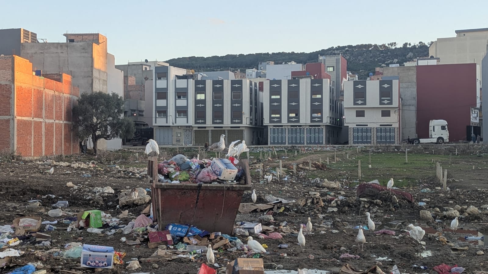 حقائق صادمة في مدخل مدينة طنجة وبالضبط في جماعة اكزناية وكأنها غير خاضعة لأي سلطة إدارية
