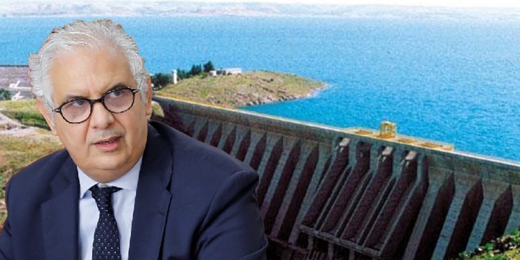 نزار بركة.. المغرب يطوي سبع سنوات من الجفاف بفضل التساقطات الأخيرة