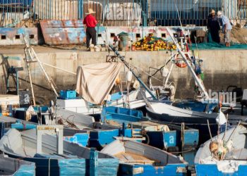 مفرغات الصيد بميناء طنجة 2025 – انخفاض الكميات وارتفاع القيمة التجارية