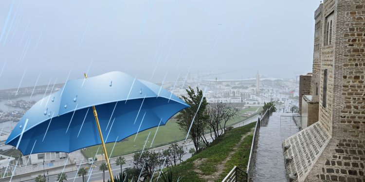 طنجة تتصدر مقاييس الأمطار المسجلة بالمغرب في آخر 24 ساعة