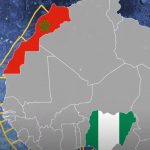 ماذا استفاد المغرب من القارة الإفريقية.. أجي تفهم !!