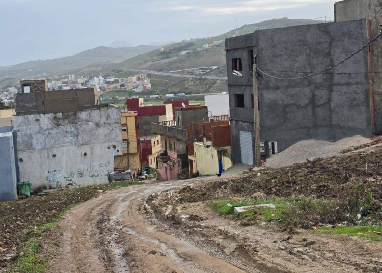 مدشر ظهر الكويشة 