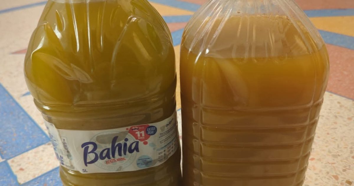 ما لا يُقال عن زيت الزيتون الرخيص… تجربة من داخل المعصرة