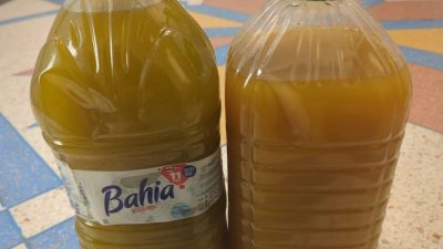 ما لا يُقال عن زيت الزيتون الرخيص… تجربة من داخل المعصرة