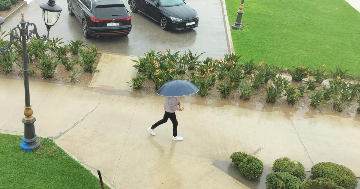 المديرية الإقليمية للتربية الوطنية تعلن تعليق الدراسة بطنجة أصيلة غدا الاثنين