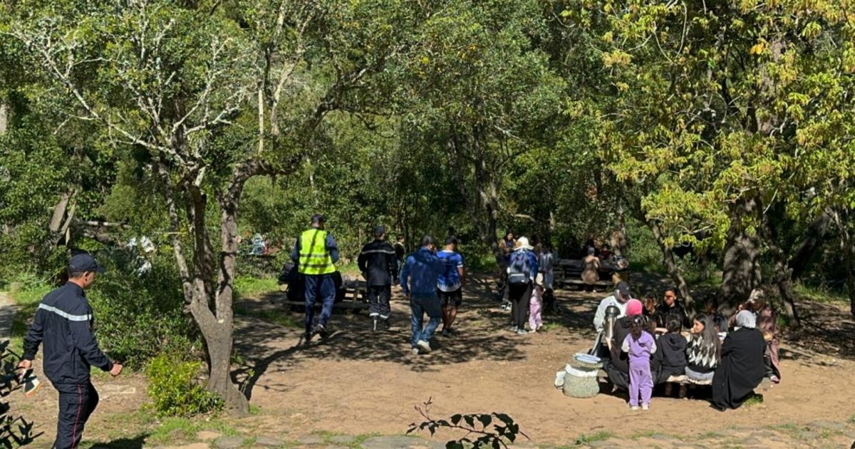 تحرك استباقي في طنجة.. حملات تحسيسية في غابة الرميلات و الرهراه للوقاية من الحرائق