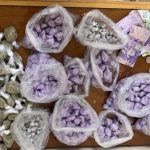 مداهمة أمنية ببني مكادة تنهي نشاط مروج مخدرات بحي بير الشيفا بطنجة