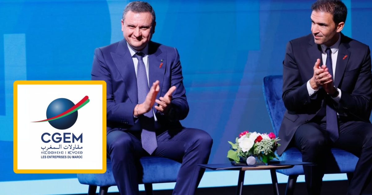 هل اختطف لوبي التأمينات “الباطرونا”؟.. تراجع الصناعة يثير الجدل داخل اتحاد المقاولات