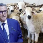 مقال رأي.. الصحفي إسماعيل عزام يكتب "الفراقشية نهبو البلاد"