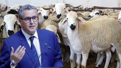 مقال رأي.. الصحفي إسماعيل عزام يكتب "الفراقشية نهبو البلاد"