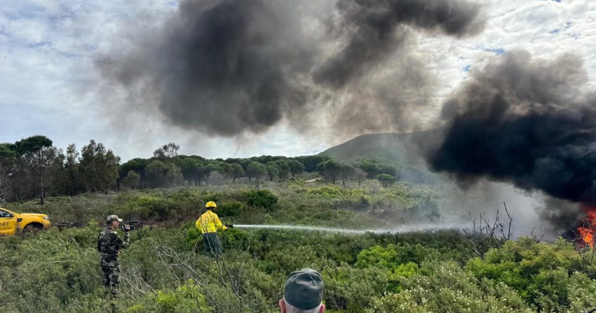 طنجة.. الوكالة الوطنية للمياه الغابات تنظم حملة للتحسيس بخطورة الحرائق