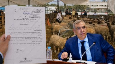 وزارة الداخلية تعفي مربي الماشية من هذه الرسوم لمدة أسبوع