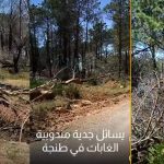 المياه والغابات بطنجة تنظم مسرحية سنوية رديئة الإخراج مع بداية كل صيف