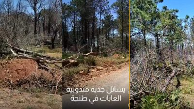 المياه والغابات بطنجة تنظم مسرحية سنوية رديئة الإخراج مع بداية كل صيف