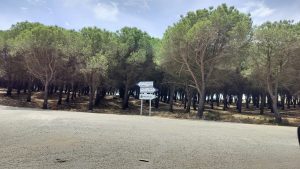 غابات طنجة الحضرية