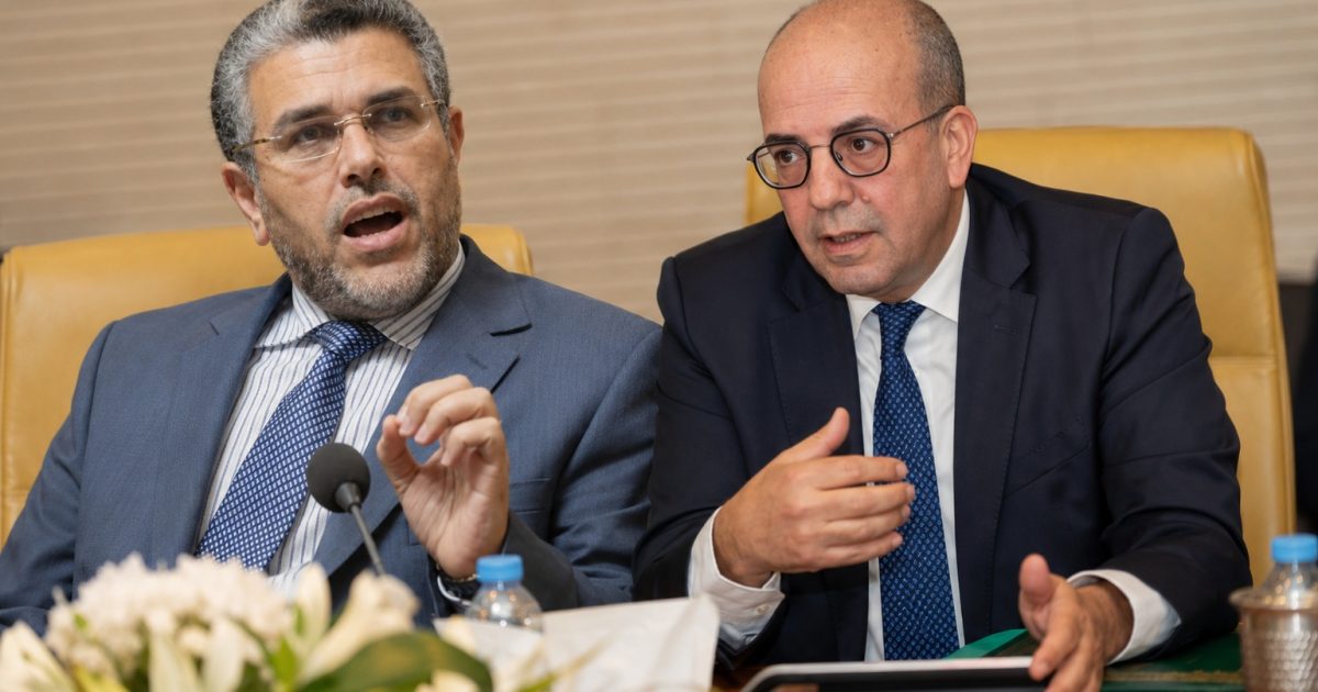 المصطفى الرميد يطالب وزير الفلاحة بتقديم استقالته