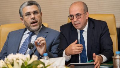 المصطفى الرميد يطالب وزير الفلاحة بتقديم استقالته
