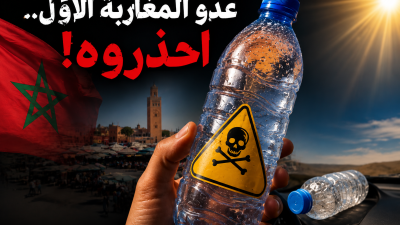 عدو المغاربة في فصل الصيف.. احذروه