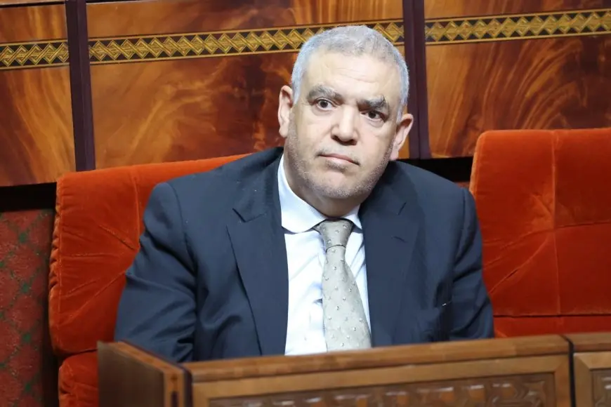 برلمانية تحرج وزير الداخلية.. جمعية حديثة بمدينة تطوان تحصل على 200 مليون !!