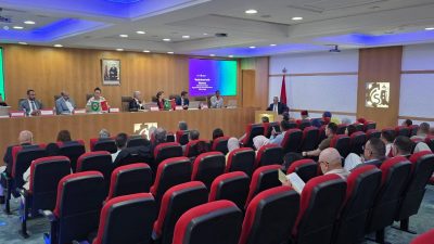 رجال أعمال برازيليون يستكشفون فرص الاستثمار والشراكة بجهة طنجة-تطوان-الحسيمة