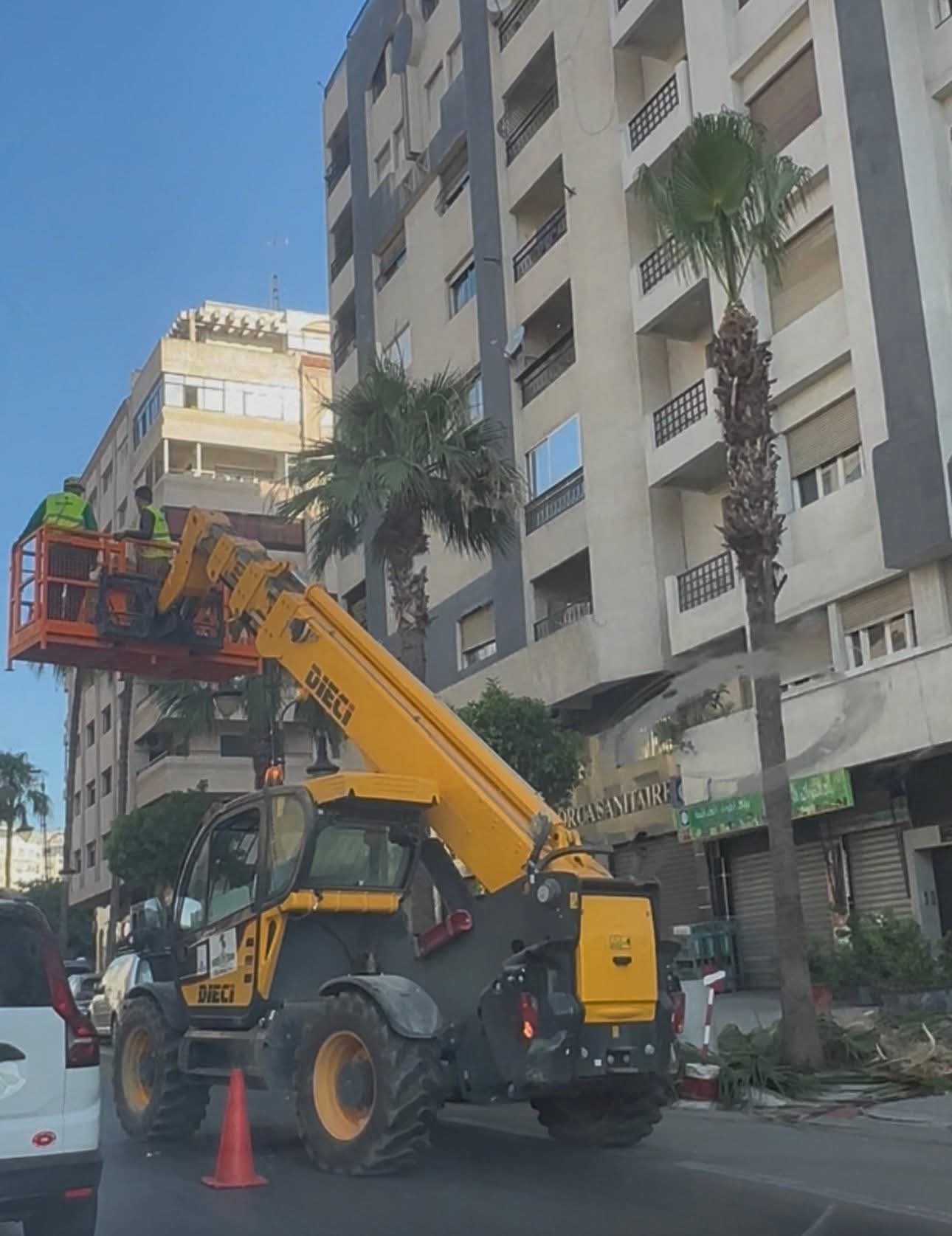 الشرقي يعري مخططات التشجير بطنجة
