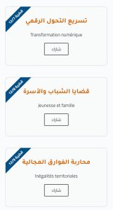 القضايا الأفقية للمنصة