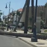الشرقي يعري مخططات التشجير بطنجة.. والإعلامي سعيد قدري ينتقد العشوائية في اختيار الأشجار