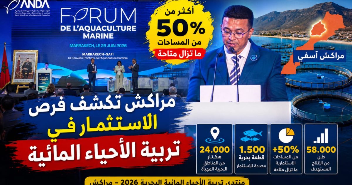 من قلب مراكش.. تفاصيل فرص الاستثمار الجديدة في تربية الأحياء المائية بالمغرب