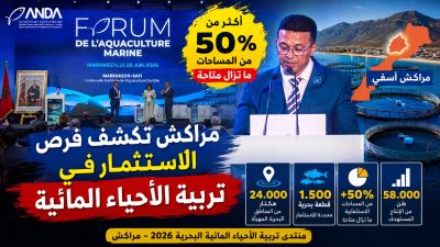 من قلب مراكش.. تفاصيل فرص الاستثمار الجديدة في تربية الأحياء المائية بالمغرب