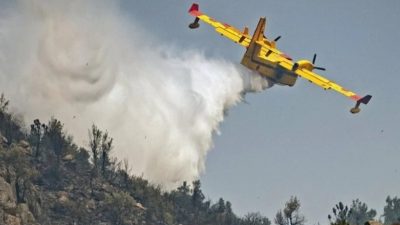 أقاليم بجهة طنجة-تطوان-الحسيمة تتصدر خريطة مخاطر حرائق الغابات بالمغرب