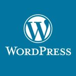 المديرية العامة لأمن نظم المعلومات تحذر من ثغرات حرجة في إضافات WordPress