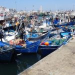 مفرغات الصيد الساحلي بميناء طنجة تقفز لـ92% ومطالب مهنية بمراجعة حصيلة "أليوتيس"