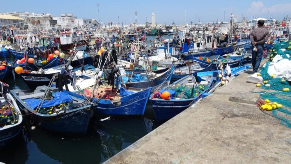 مفرغات الصيد الساحلي بميناء طنجة تقفز لـ92% ومطالب مهنية بمراجعة حصيلة "أليوتيس"